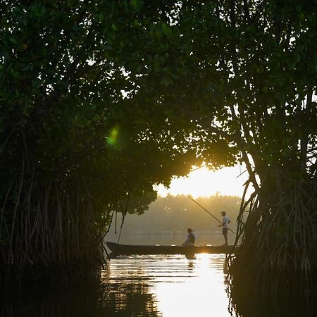 Kalloos Island Backwater Resort Kollam Exteriör bild