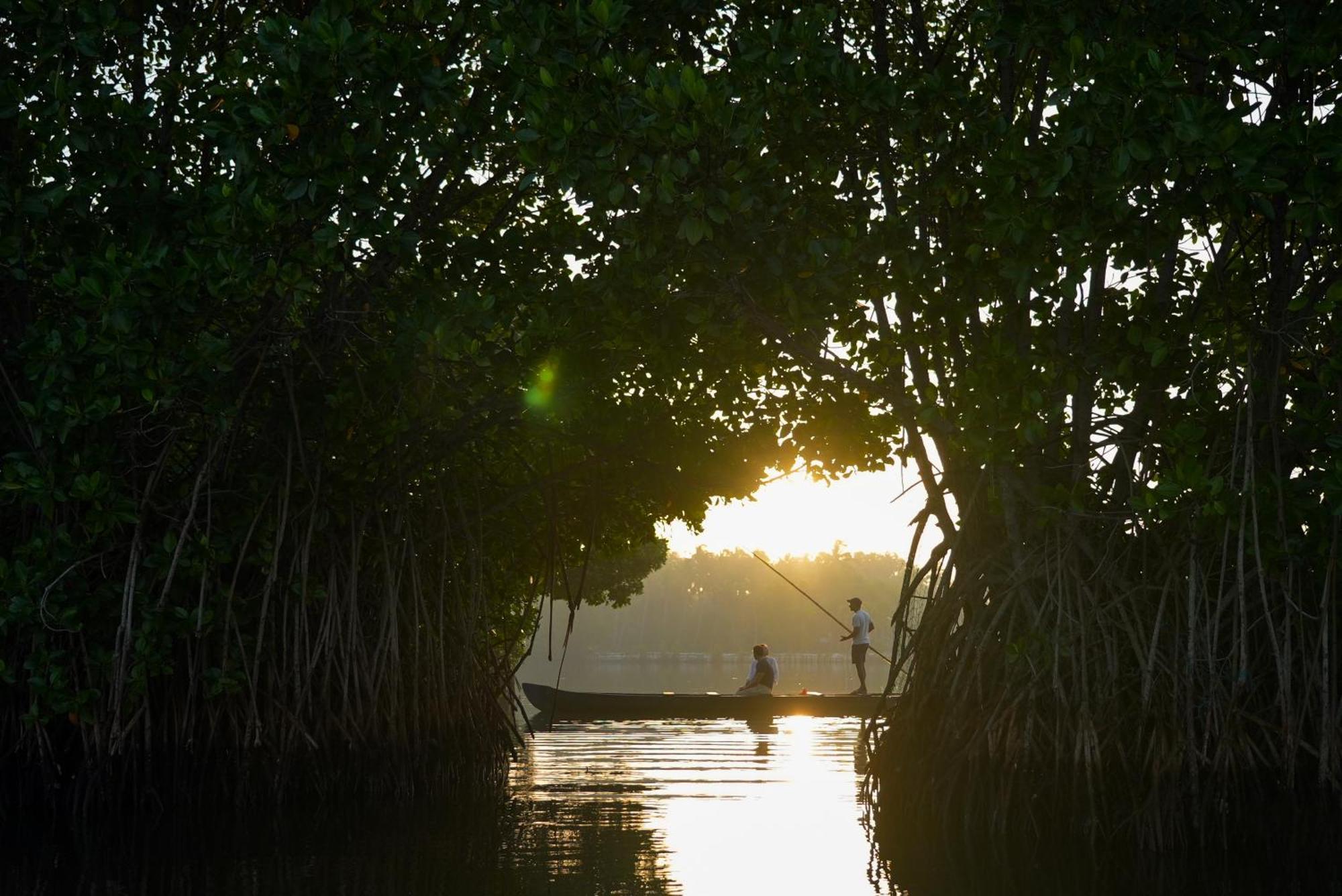 Kalloos Island Backwater Resort Kollam Exteriör bild